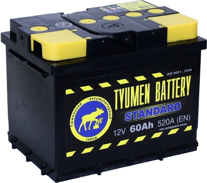 Аккумуляторная батарея Тюмень BATTERY STANDARD 60 обр 242х175х190 550