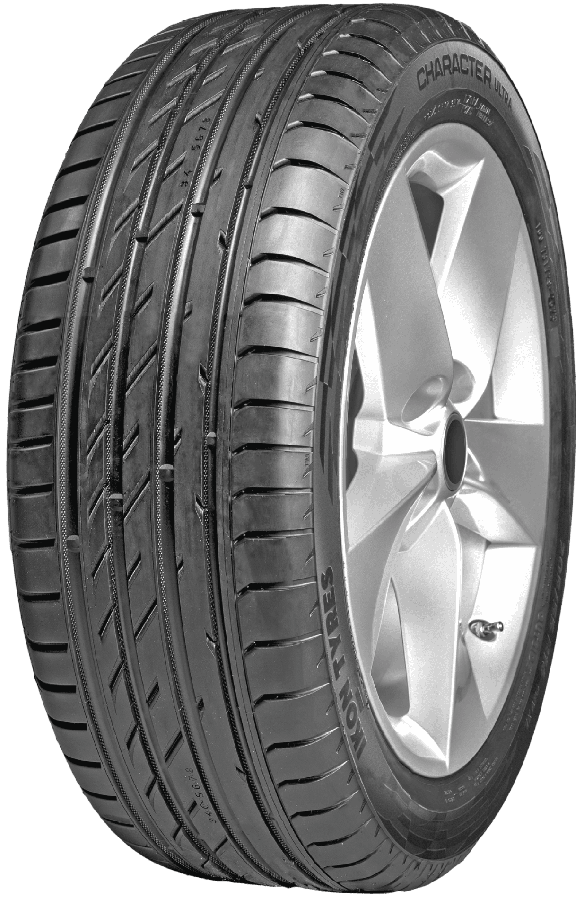Ikon Character Ultra (Nordman SZ2) 205/55 R16 94V