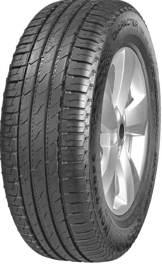 Ikon (Nokian Tyres) Character Aqua SUV (Nordman S2 SUV) 255/50 R20 109V